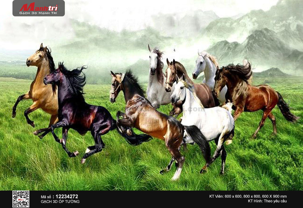 Đàn ngựa trên đồng cỏ lộng gió