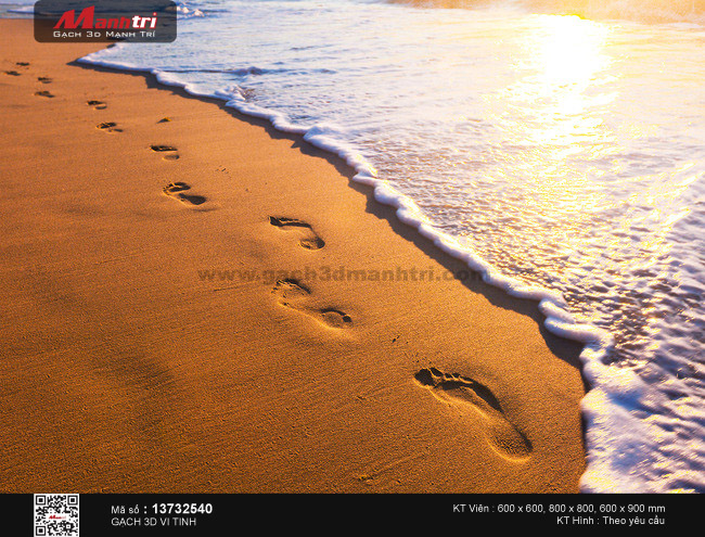 Những dấu chân trên cát