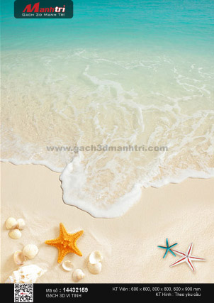  Sao biển trên bãi cát trắng tinh